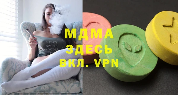 шишки Горняк
