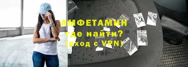 шишки Горняк