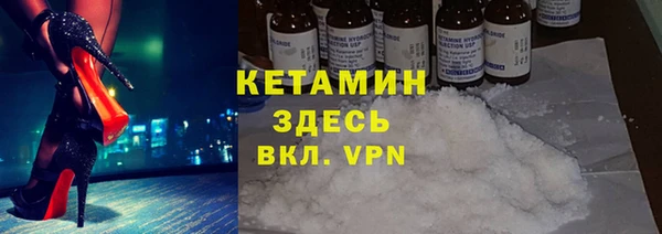 шишки Горняк