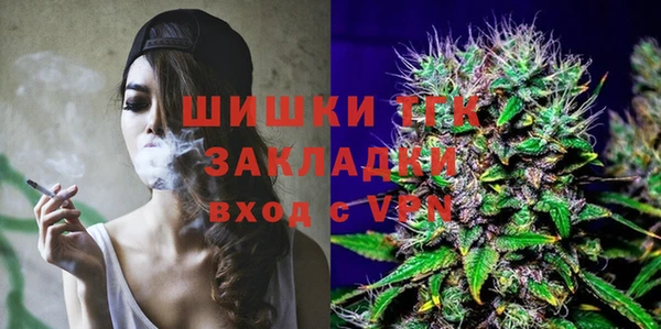 дмт Вяземский