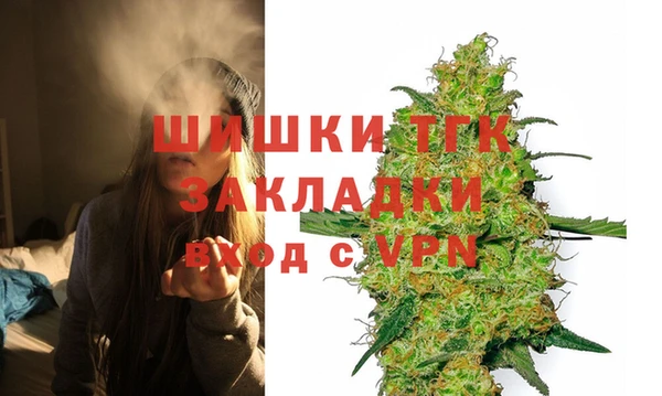 шишки Горняк