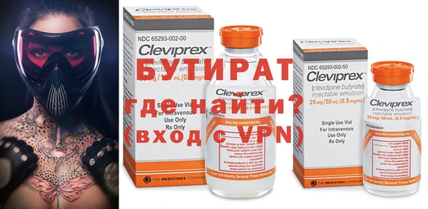 шишки Горняк