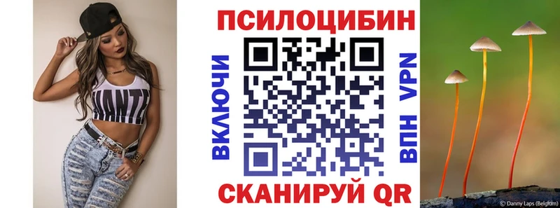 Псилоцибиновые грибы Psilocybine cubensis  Звенигово 
